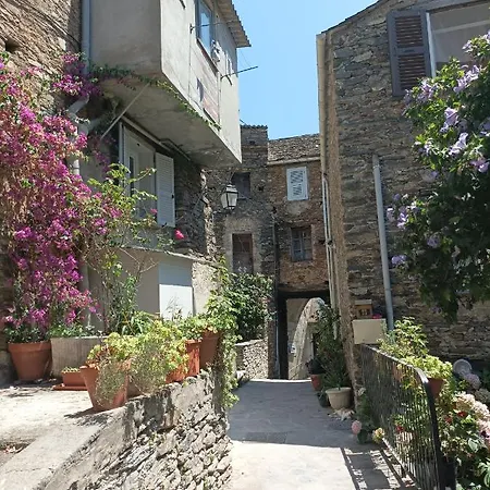 Callisto Apartamento